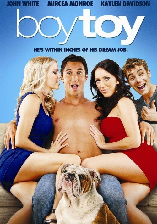 Boy toy (2011)