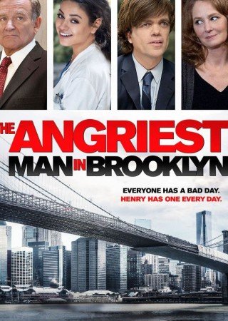 The Angriest Man in Brooklyn (2014)